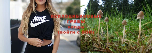 эйфоретик Алзамай